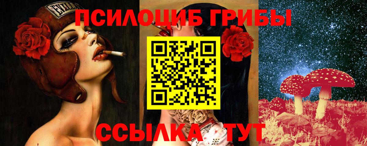 Гатчина  Галлюциногенные грибы Psilocybine cubensis  Вход с VPN 