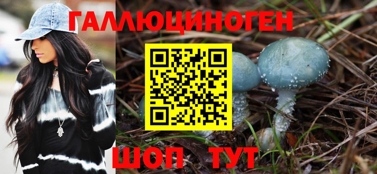 Псилоцибиновые грибы Psilocybine cubensis Гатчина